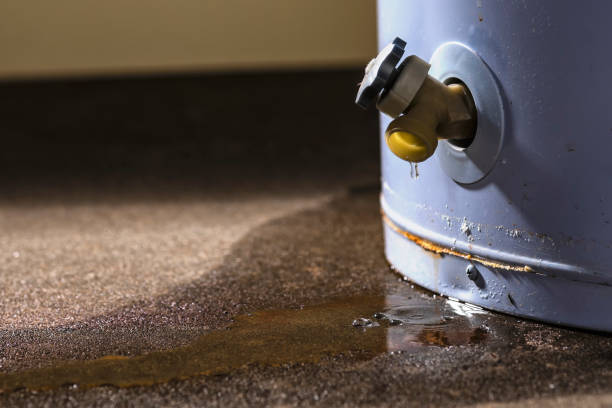 Best Professional water damage repair  in Homer, GA