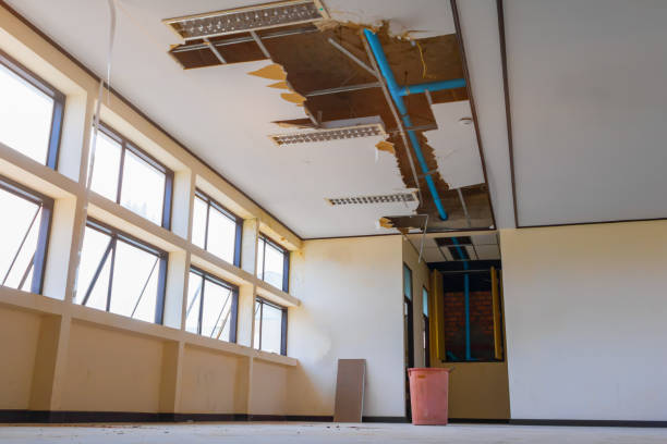 Best Flood restoration services  in Homer, GA