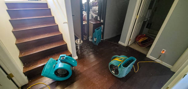 Best Water damage contractors near me  in Homer, GA