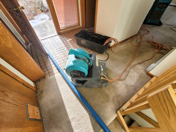 Water damage restoration insurance claims in Homer, GA