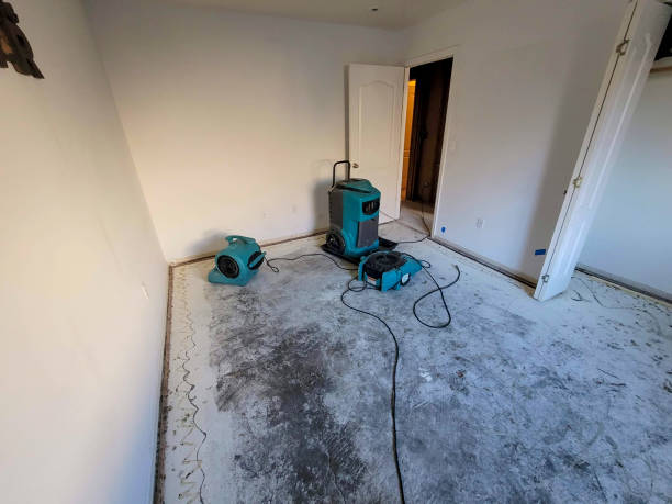 Best Flood damage cleanup  in Homer, GA
