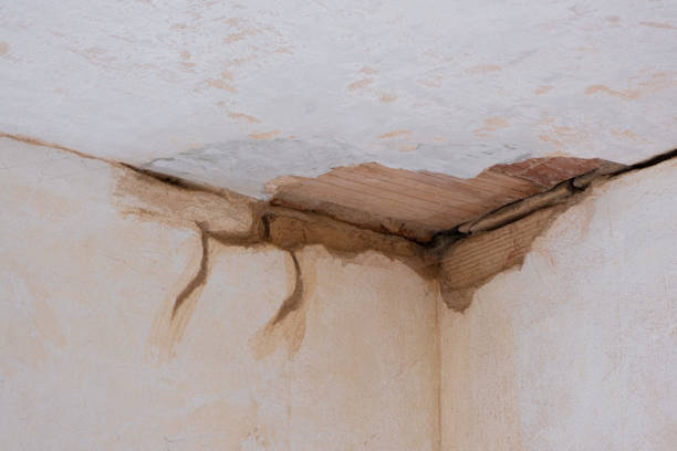 Best Ceiling water damage repair  in Homer, GA