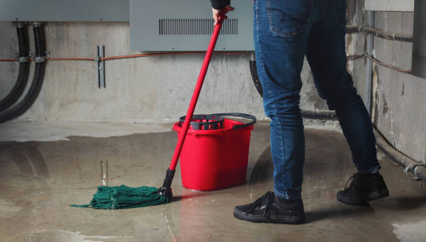 Best Flooded house restoration  in Homer, GA