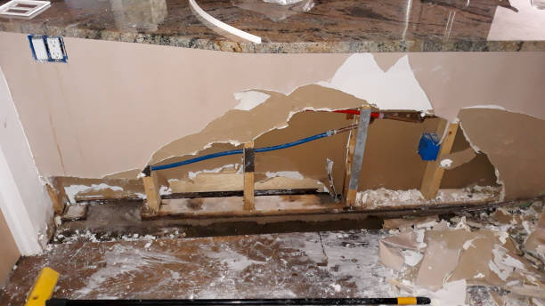 Best Carpet water damage restoration  in Homer, GA