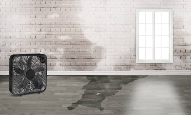 Best Water damage restoration cost  in Homer, GA