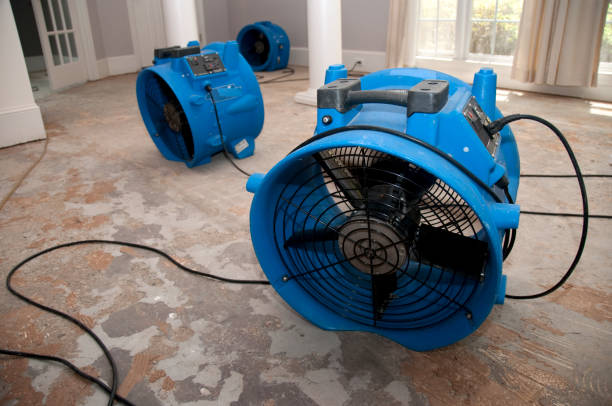 Best Water damage restoration near me  in Homer, GA
