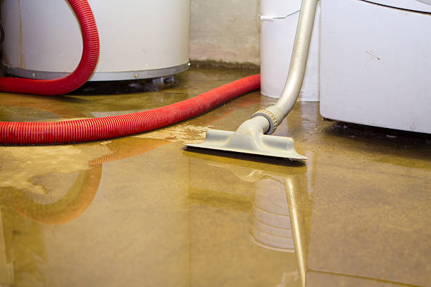Best Local water damage restoration  in Homer, GA