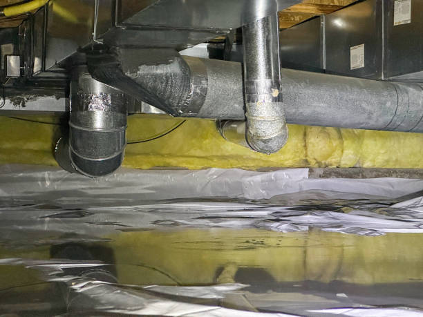 Best Residential water damage restoration  in Homer, GA