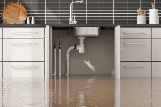 Best Flood damage cleanup  in Homer, GA