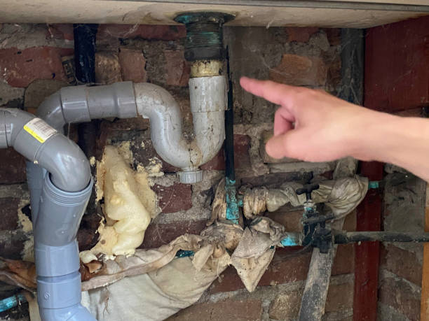 Best Water damage restoration company  in Homer, GA
