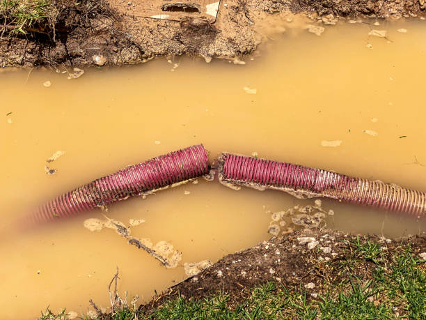 Reliable Homer, GA Water damage restoration Solutions