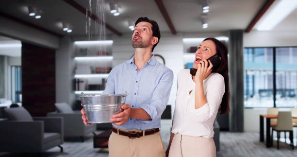 Best Mold removal after water damage  in Homer, GA