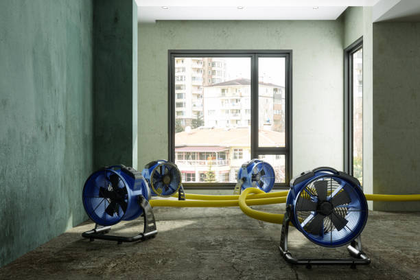 Best 24/7 water damage repair  in Homer, GA