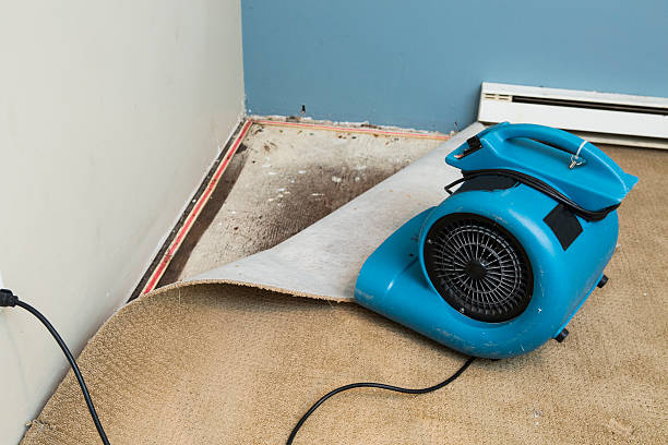 Best Flood restoration services  in Homer, GA